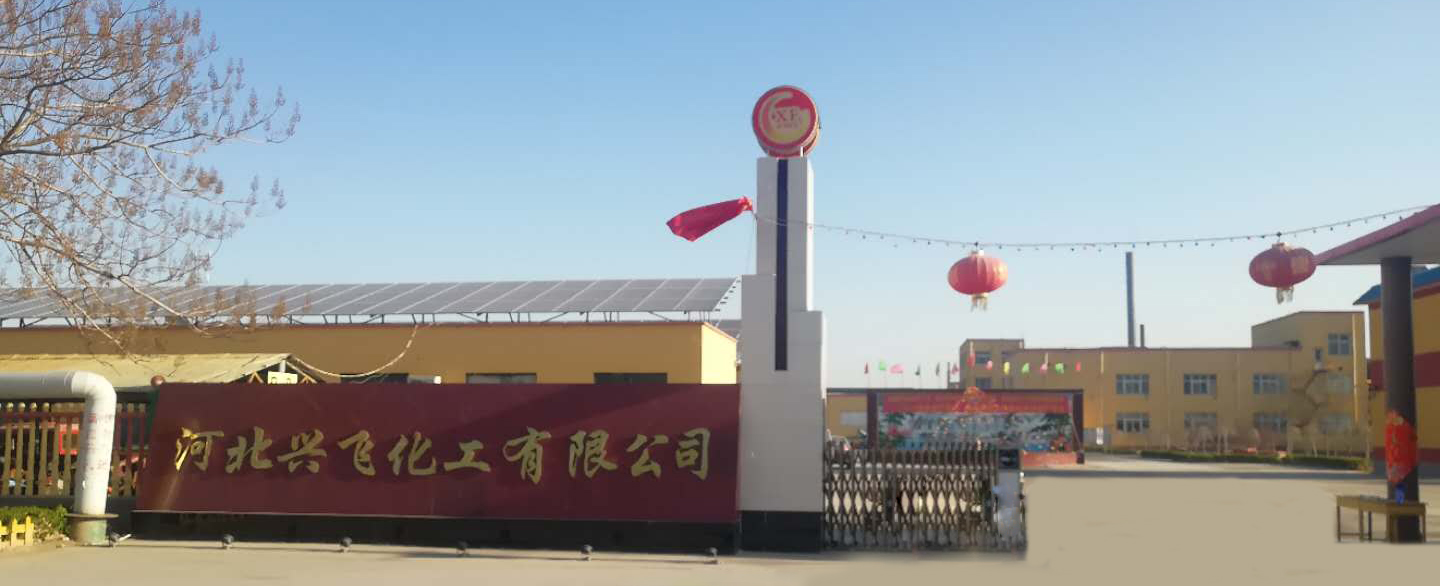 Xingfei annual output of 30,000 tons of SDIC technical transformation project