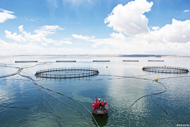 Disinfectants commonly used in Fisheries – SDIC