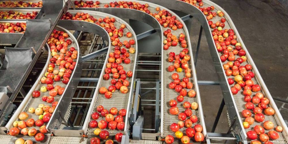Application of Sodium Dichloroisocyanurate in fruit preservation
